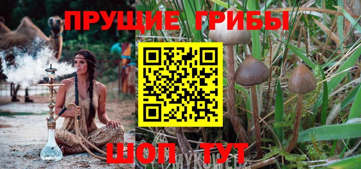 Трёхгорный  Псилоцибиновые грибы MAGIC MUSHROOMS  Вход с VPN  Псилоцибиновые грибы Magic Shrooms 